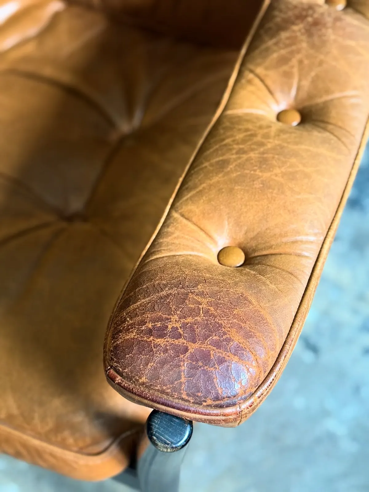 Carmen armchair, cognac leather, unrestored — 4