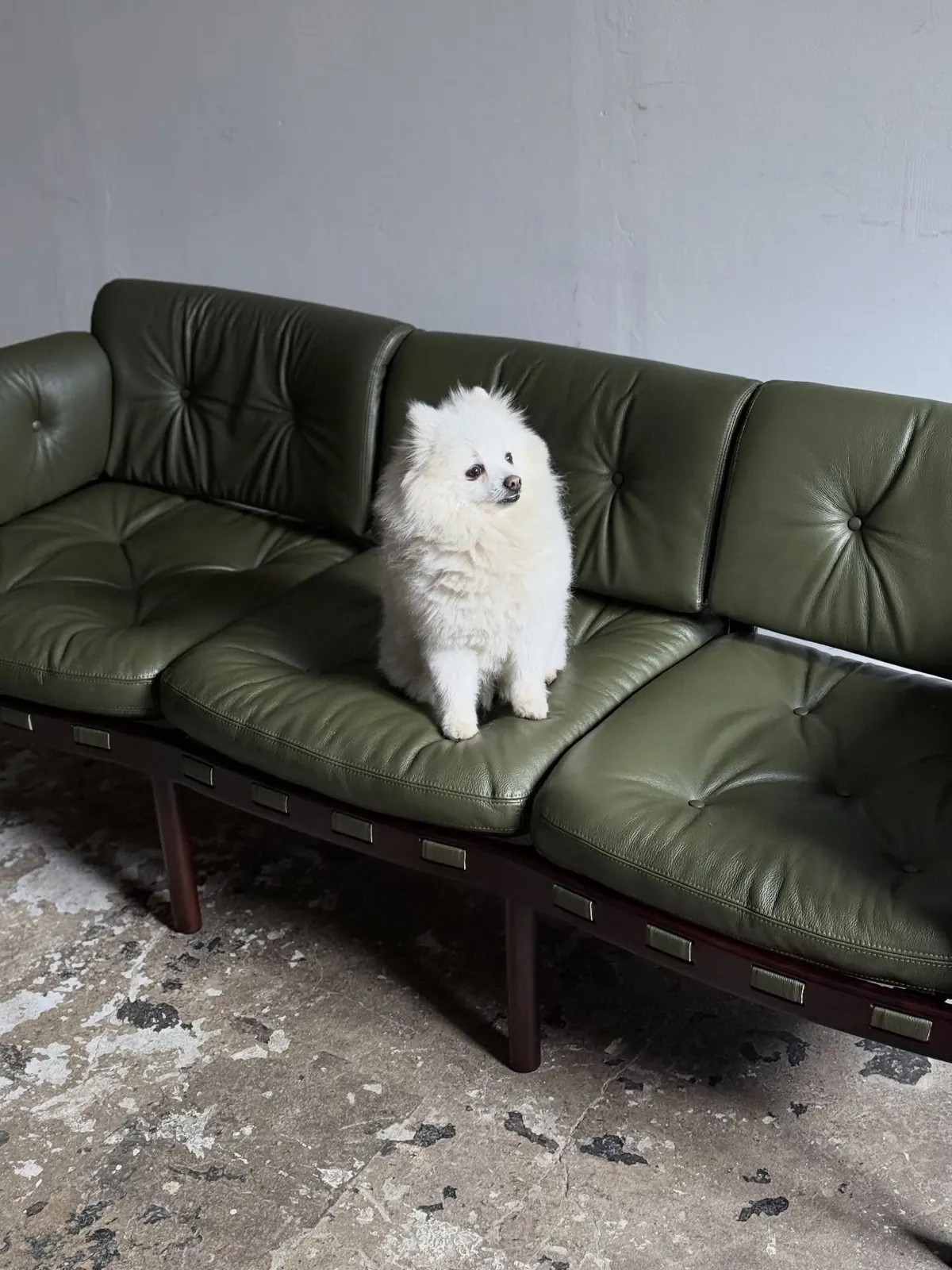 Coja sofa by Sven Ellekær, green leather